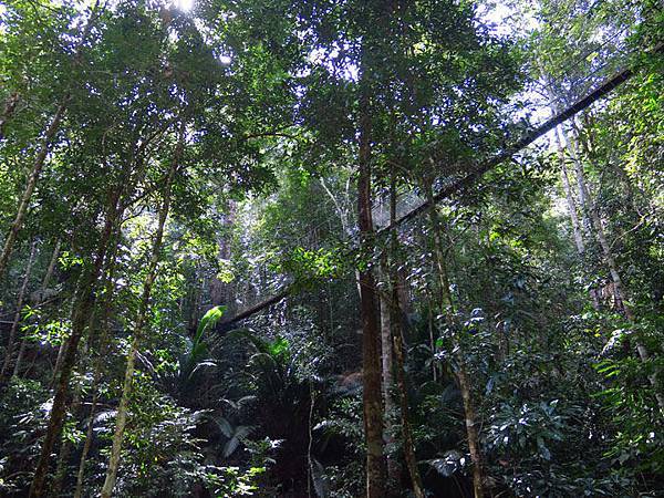 GT r11.JPG GT r11.JPG