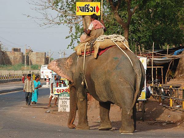 Champaner f1.JPG