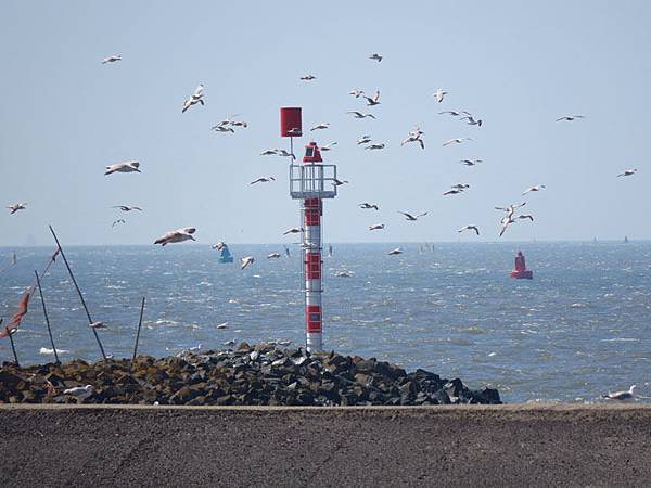 Harlingen b3.JPG Harlingen b3.JPG