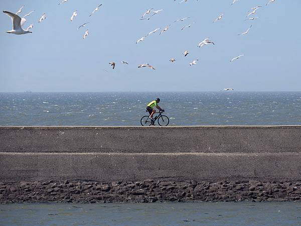 Harlingen b2.JPG Harlingen b2.JPG