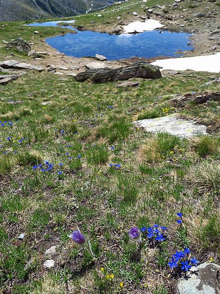 Zermatt a6.JPG Zermatt a6.JPG