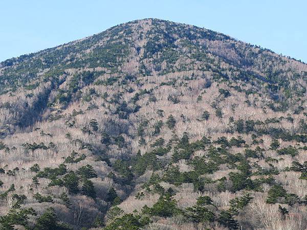 Nikko f7.JPG Nikko f7.JPG