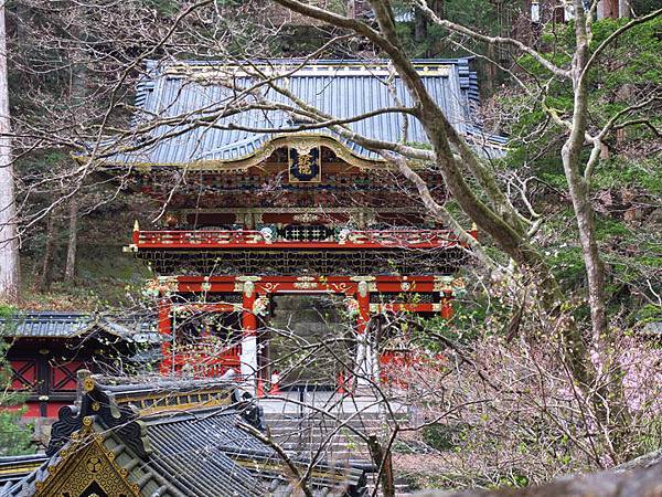 Nikko h1.JPG Nikko h1.JPG