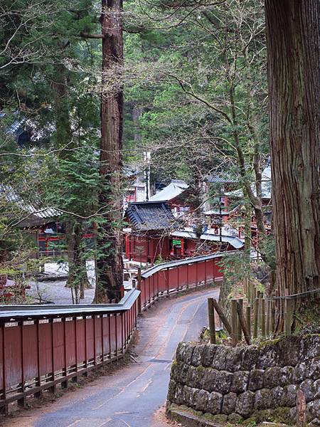 Nikko h2.JPG Nikko h2.JPG