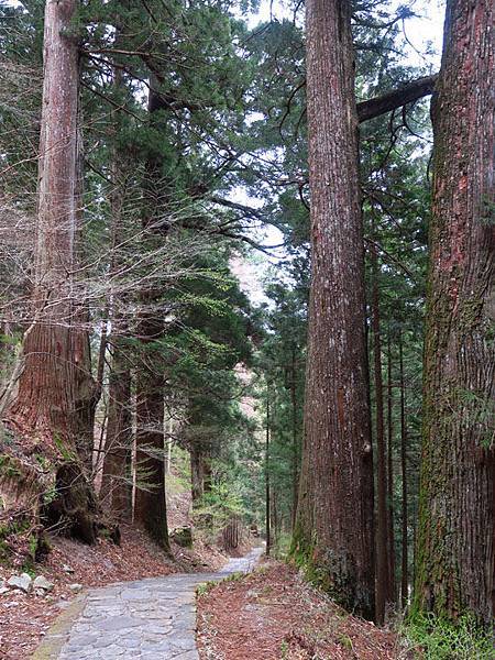 Nikko h4.JPG Nikko h4.JPG