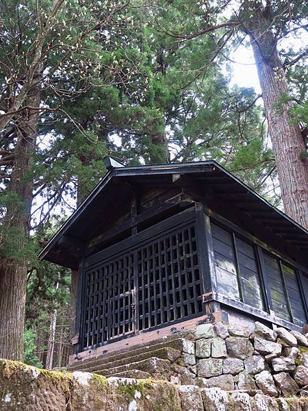 Nikko h5.JPG Nikko h5.JPG