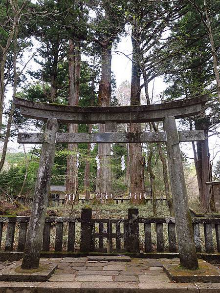 Nikko i6.JPG Nikko i6.JPG