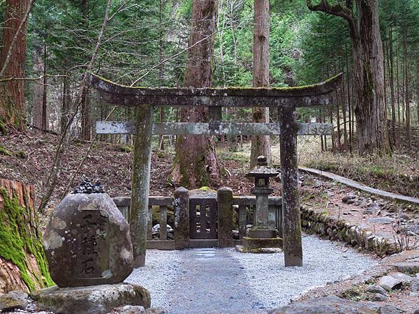 Nikko i8.JPG Nikko i8.JPG