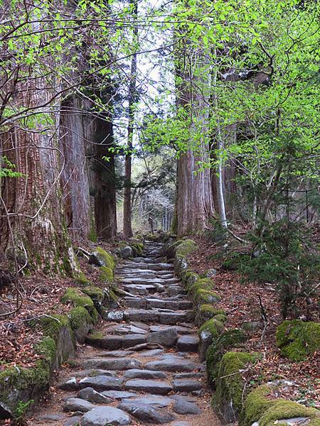 Nikko j1.JPG Nikko j1.JPG