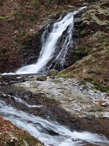 Nikko i1a.JPG Nikko i1a.JPG