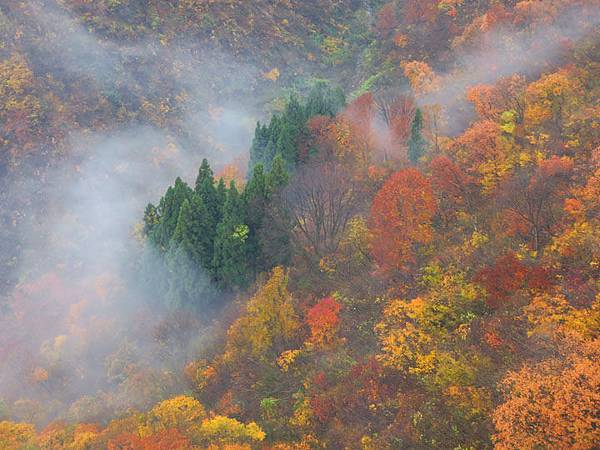 Yuzawa a1.JPG Yuzawa a1.JPG