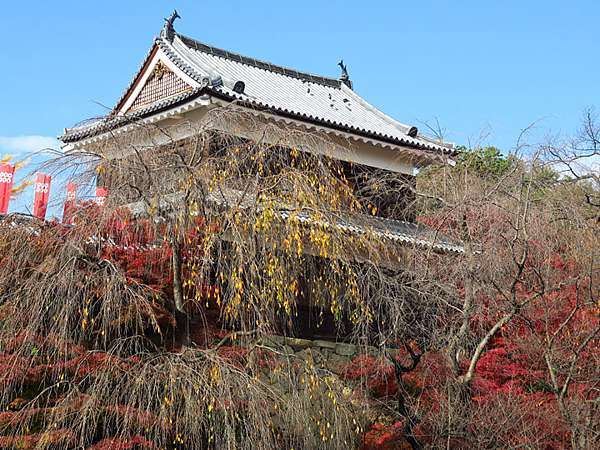 日本 關東賞楓 五 上田 Ueda Confusingstone的部落格 痞客邦
