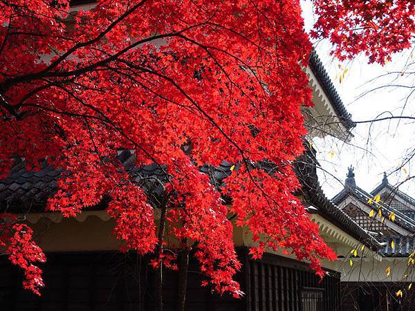 Ueda a5.JPG Ueda a5.JPG