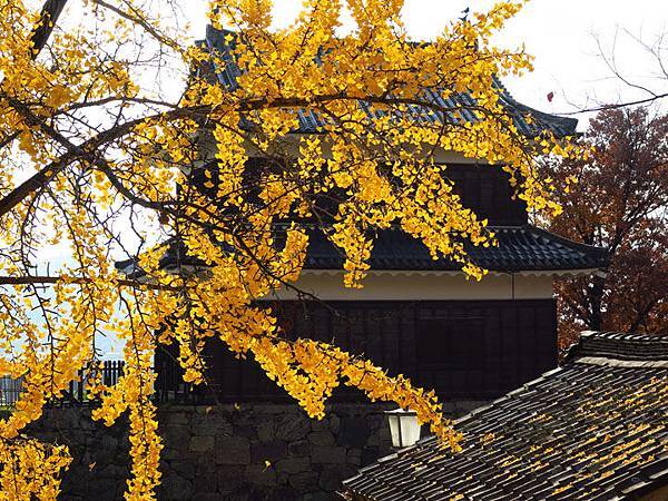 Ueda a6.JPG Ueda a6.JPG