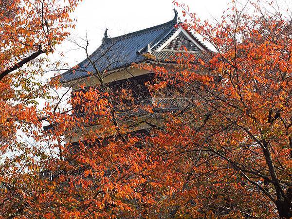 Ueda a10.JPG Ueda a10.JPG