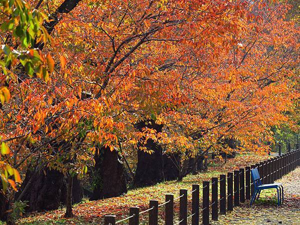 Ueda b3.JPG Ueda b3.JPG