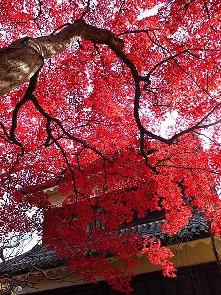 Ueda a11.JPG Ueda a11.JPG