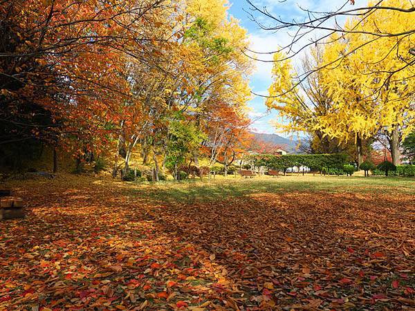 Ueda c2.JPG Ueda c2.JPG