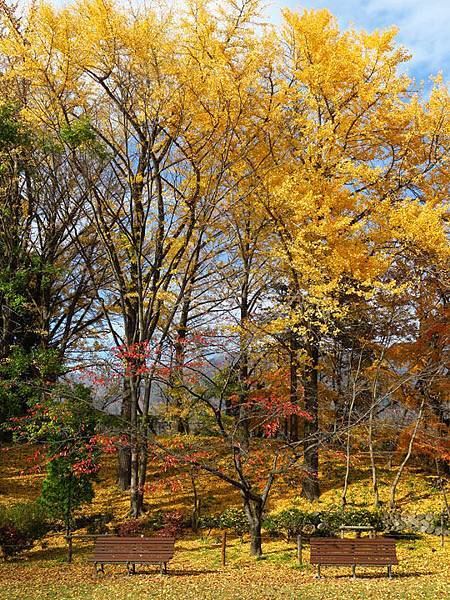 Ueda c4.JPG Ueda c4.JPG