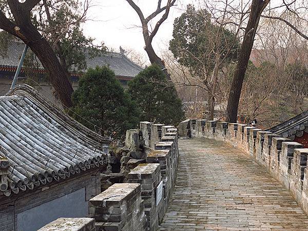 Gong d4.JPG Gong d4.JPG