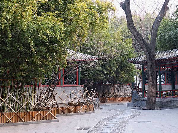 Gong g1.JPG Gong g1.JPG