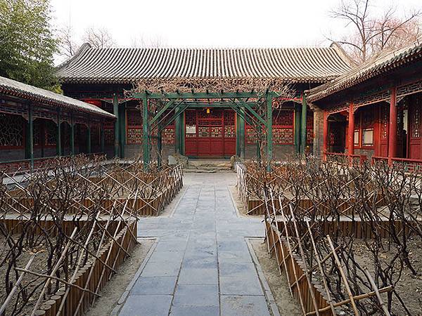 Gong g2.JPG Gong g2.JPG