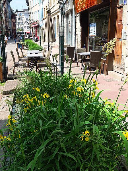 Rouen j7.JPG Rouen j7.JPG