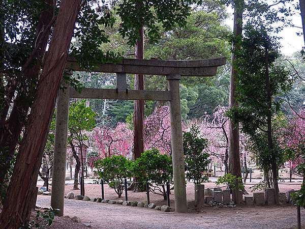 日本 津市 上 專修寺 結城神社 Tsu Confusingstone的部落格 痞客邦