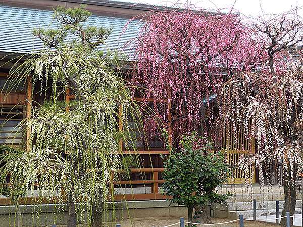 日本 津市 上 專修寺 結城神社 Tsu Confusingstone的部落格 痞客邦