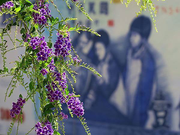 Gaoxiong s1.JPG Gaoxiong s1.JPG