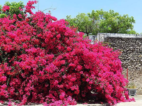 Gaoxiong u4.JPG Gaoxiong u4.JPG