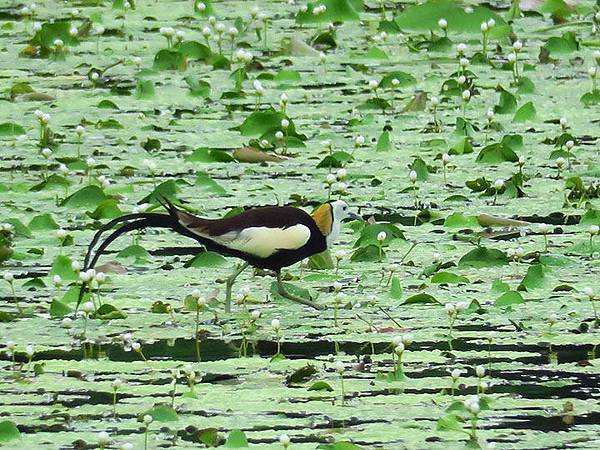 Gaoxiong u7.JPG Gaoxiong u7.JPG