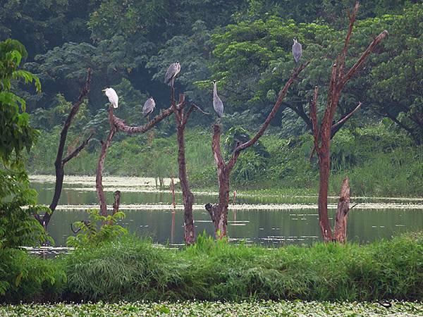 Gaoxiong u5.JPG Gaoxiong u5.JPG