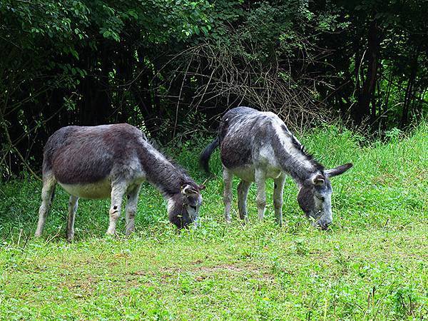 Schwabisch Hall a2.JPG Schwabisch Hall a2.JPG