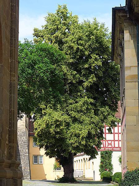 Schwabisch Hall e3.JPG Schwabisch Hall e3.JPG