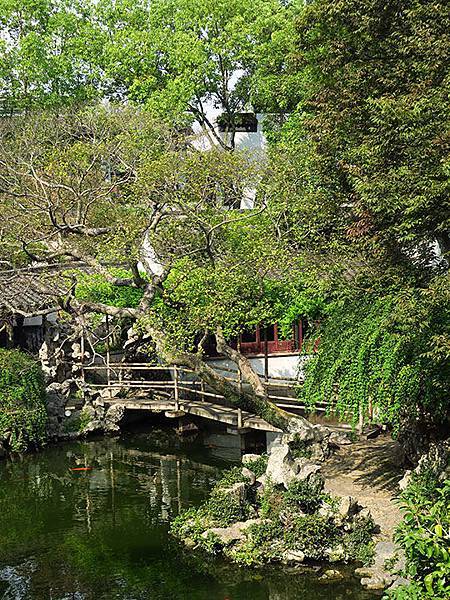 Tongli g4.JPG