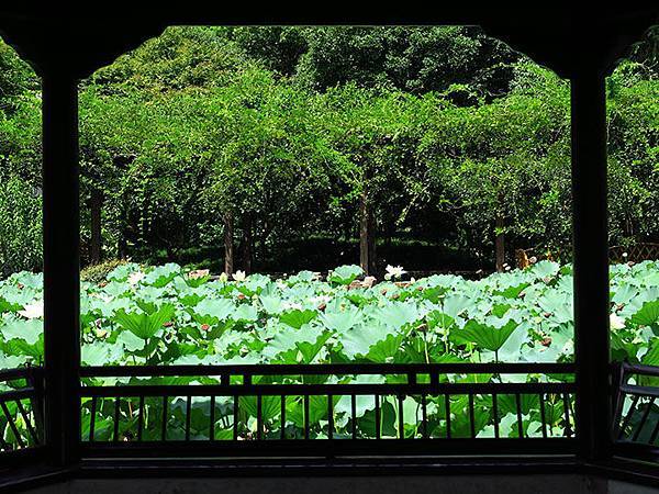 Songjiang e2.JPG Songjiang e2.JPG