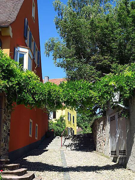 Breisach c5.JPG Breisach c5.JPG