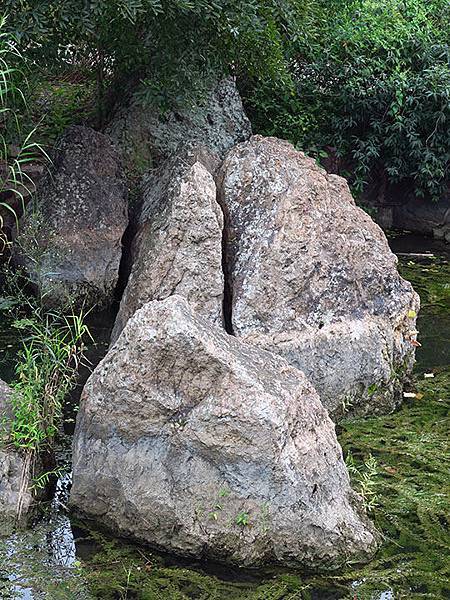 Zhenjiang q5.JPG Zhenjiang q5.JPG