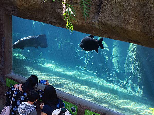 台灣‧台北‧木柵動物園(三)‧雨林館(Taipei Zoo 