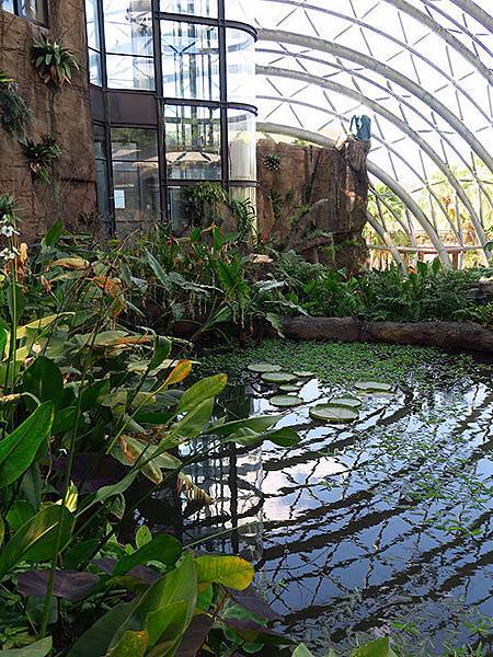台灣‧台北‧木柵動物園(三)‧雨林館(Taipei Zoo 