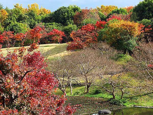 關西賞楓 十六 京都 十一 梅小路公園 Umekoji Park Confusingstone的部落格 痞客邦