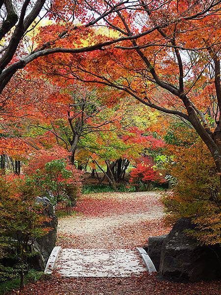 關西賞楓 十六 京都 十一 梅小路公園 Umekoji Park Confusingstone的部落格 痞客邦