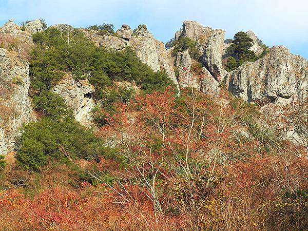 Shodoshima g3.JPG Shodoshima g3.JPG