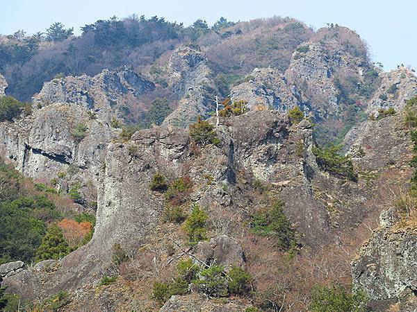 Shodoshima g5.JPG Shodoshima g5.JPG