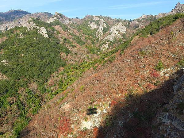 Shodoshima h5.JPG Shodoshima h5.JPG