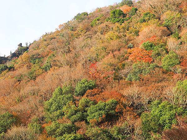 Shodoshima h2.JPG Shodoshima h2.JPG