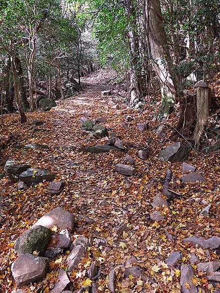 Shodoshima j1.JPG Shodoshima j1.JPG