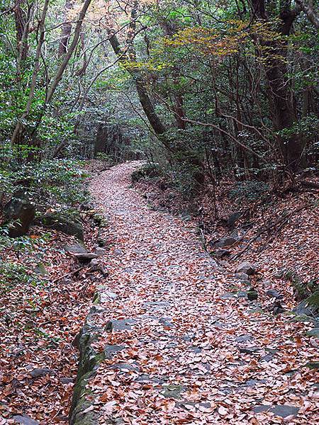 Shodoshima j4.JPG Shodoshima j4.JPG