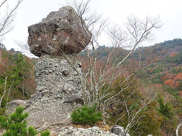 Shodoshima j3.JPG Shodoshima j3.JPG